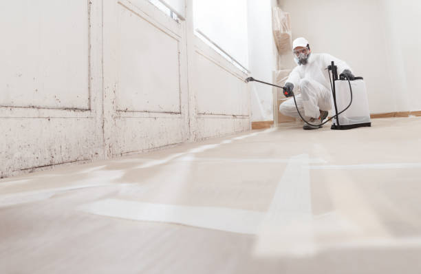 24/7 Emergency Black Mold Remediation experts in Front Royal, VA